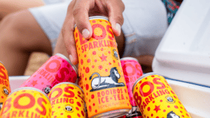 5 Reasons to Love Our New BOS Sparkling Rooibos Ice Teas