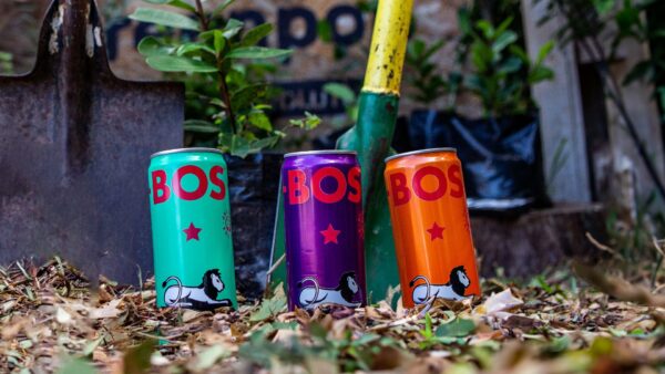 BOS rooibos tea is as good for you as it is for the planet.