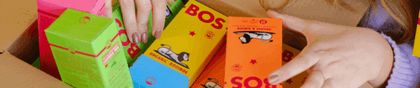 bos blog website1