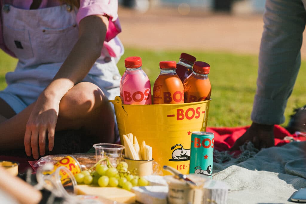 picnic kirstenbosch durban botanical gardens