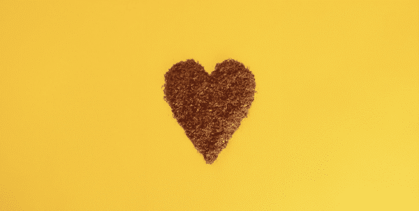 Rooibos Is Our Love Language: Sip, Savour, Share with the 5 Love Languages