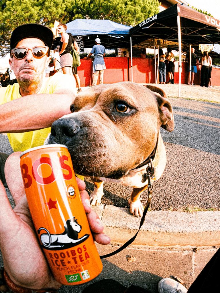 hydration for pets